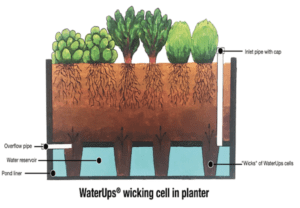 WaterUps Square Wicking Bed