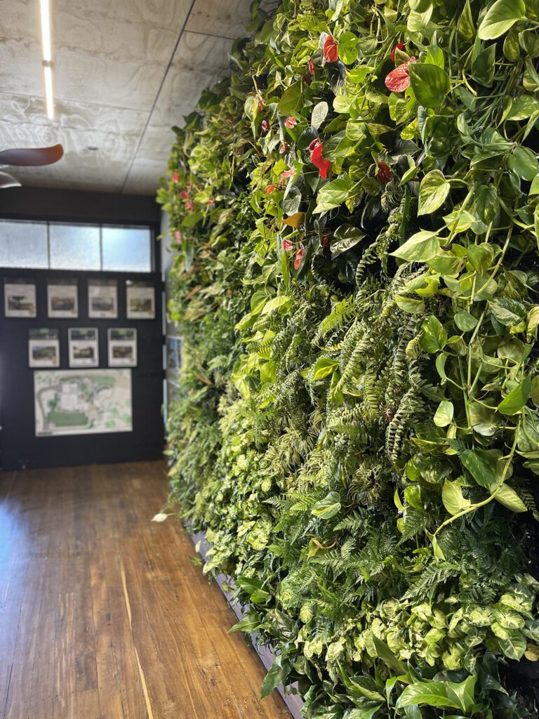 Greenwall Installation Blue Mountains