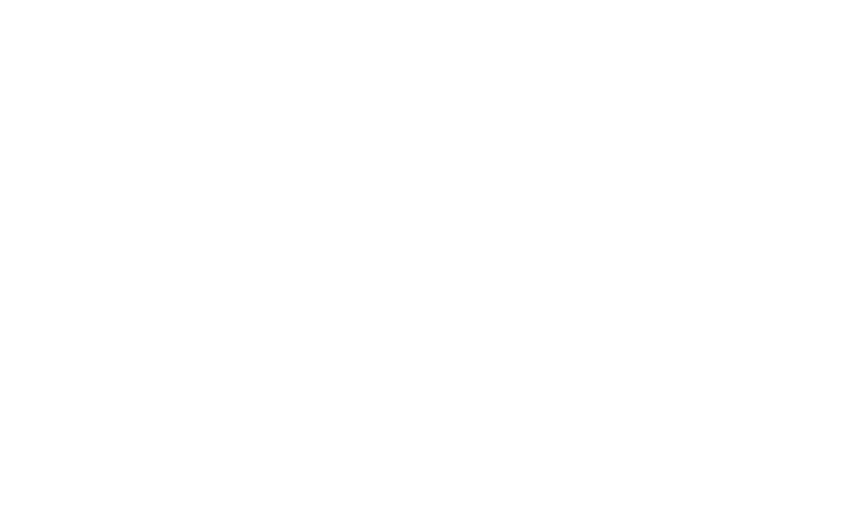 Now & Zen landscapes Logo