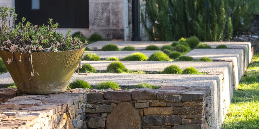 landscaping of a garden in coffs harbour