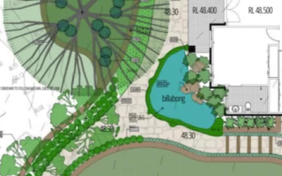 design plan for a natural pool