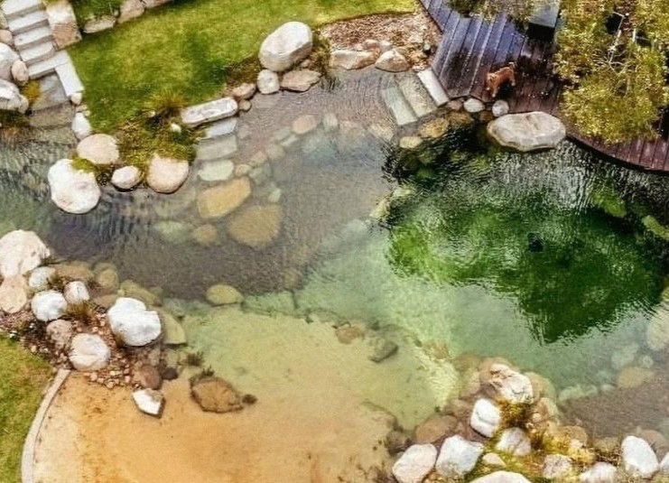 natural-swimming-pool