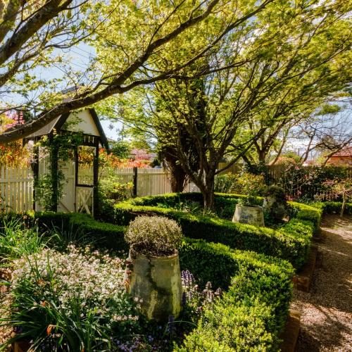 Landscaping of a front yard in Leura, Blue Mountains