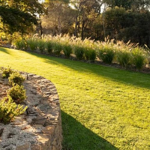 garden-service a beautifully presented lawn in a blue mountains garden