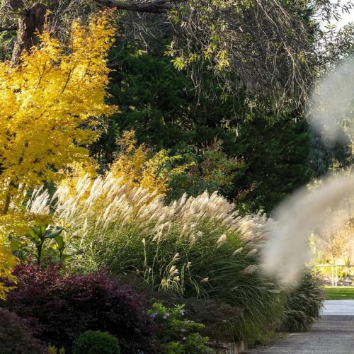 landscape-gardener garden detail by a landscape gardener