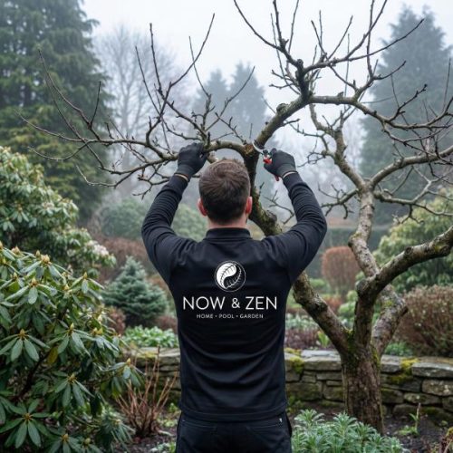 pruning Pruning trees in the blue mountains