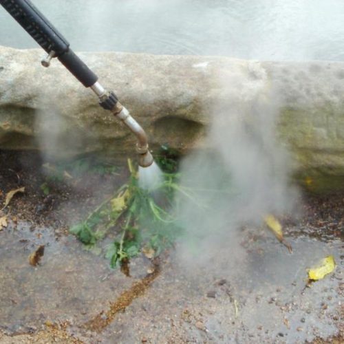 weeding close up of steam weeding